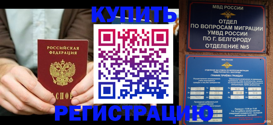 прописка 2025 в Березниках
